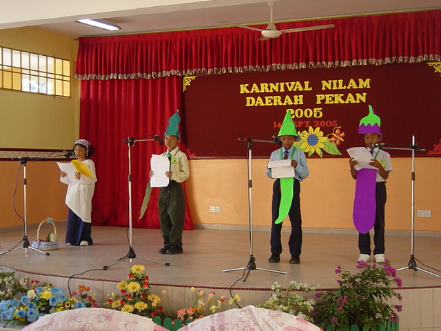KARNIVAL NILAM DAERAH DI SKSB